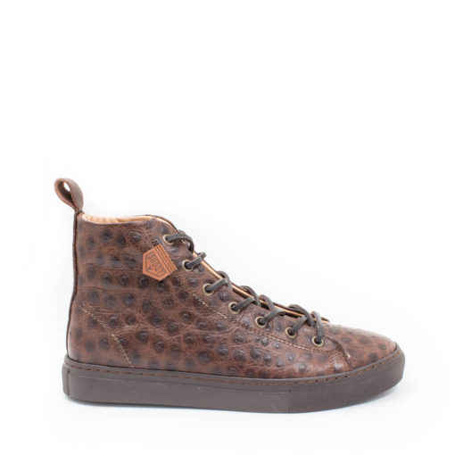 Sneakers Unisex Strauss Braun