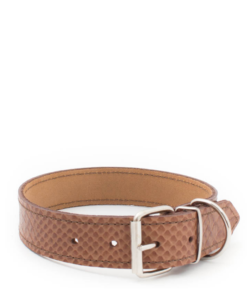 Dog Collar- Iguana Brown