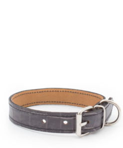 Dog Collar- Grey Croc