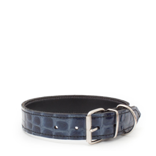 Hundehalsband- Krokolack Blau