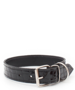 Dog Collar- Patent Black Croc