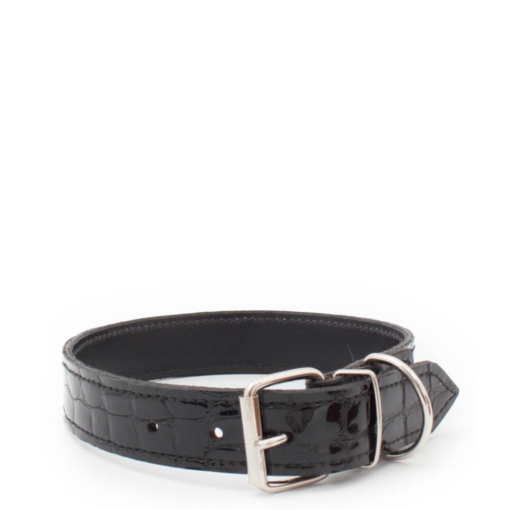 Dog Collar- Patent Black Croc