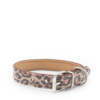 Dog Collar- Leopard