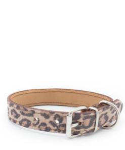 Dog Collar- Leopard