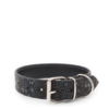 Dog Collar- Ray Freak