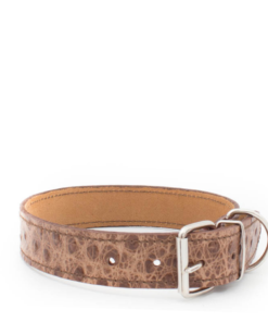 Dog Collar- Ostrich Camel